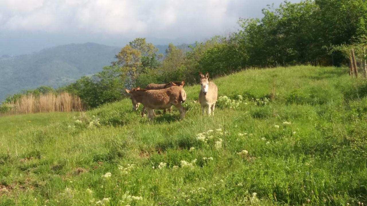 La Vite Rossa Villa Carro Exteriör bild